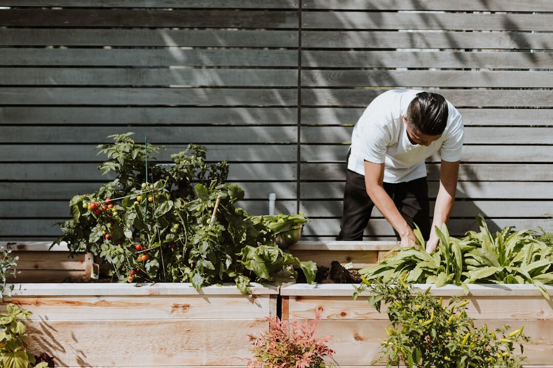 senior man gardening in backyard
